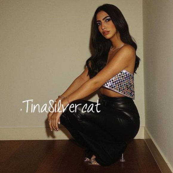 BLOGGER'S FAVE! Zara Shimmery Crop Top NWT - Picture 17 of 17